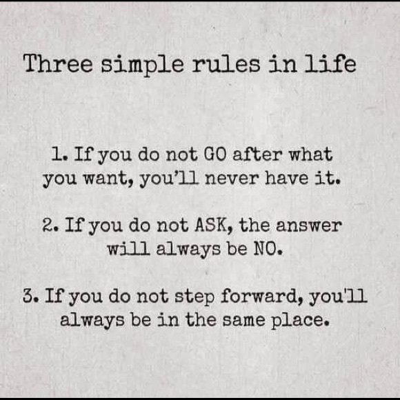 Meet your Posher, Violet - Picture 5 of 8